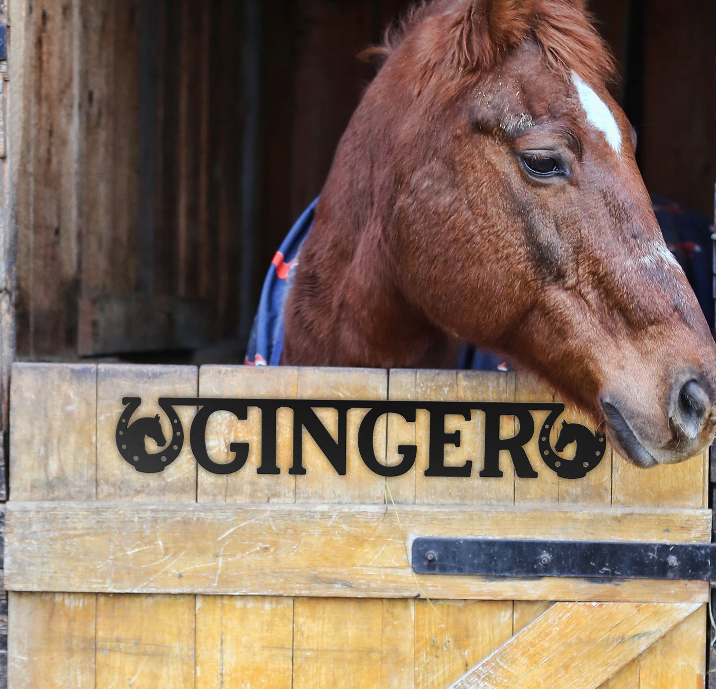 Personalized Horse Metal Art