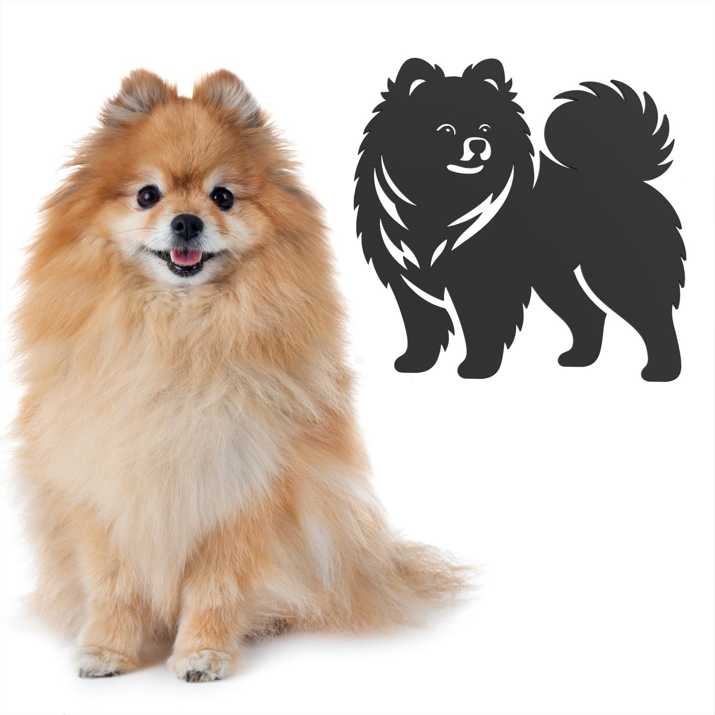 Pomeranian Metal Wall Art